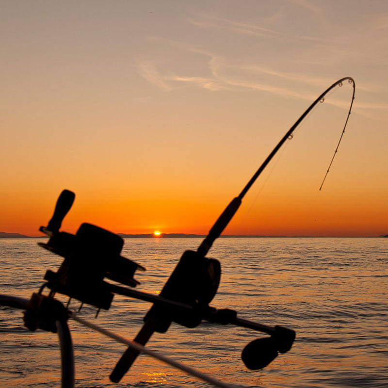 fishing